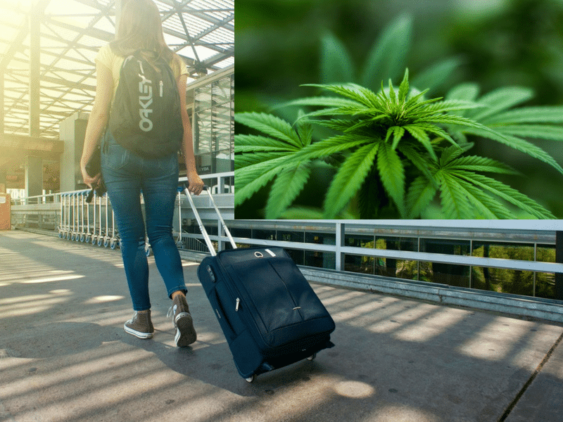 cannabis travel transactions