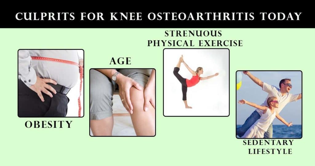 Culprits For Knee Osteoarthritis Today