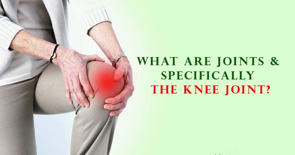 What Are Joints & Specifically The Knee Joint?